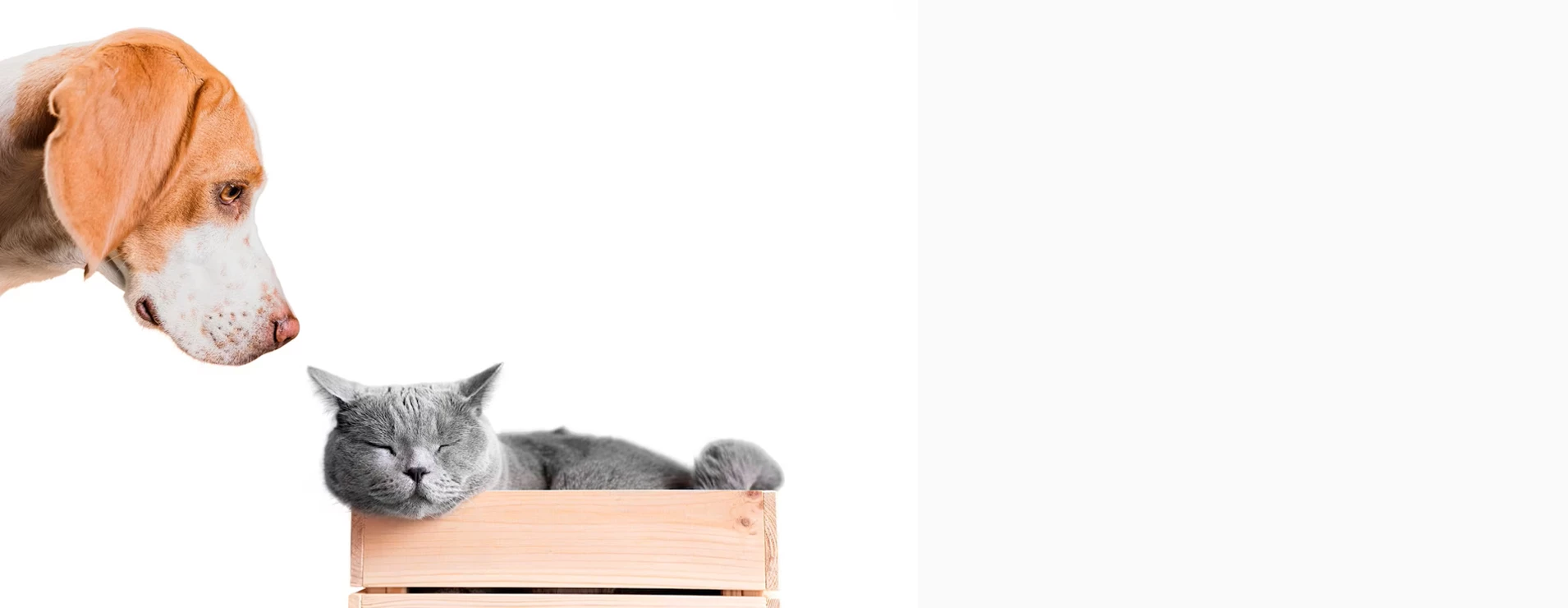 webaruhazadbolt.hu a te boltod