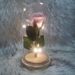 Örök rózsa üvegbúrában, LED világítással 18 cm