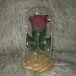 Örök rózsa üvegbúrában, LED világítással 18 cm