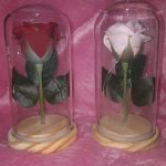 Örök rózsa üvegbúrában, LED világítással 18 cm