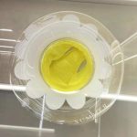 Beülős "nadrágos" virág szirom úszógumi