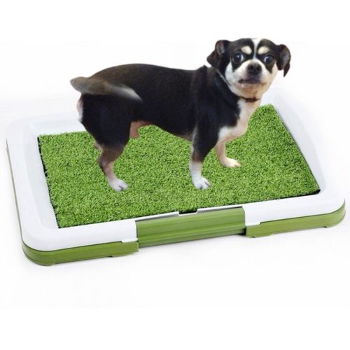 Puppy Potty Pad Trainer, kutya wc, toalett