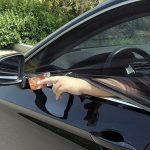 Univerzális napellenző, árnyékoló és rovarháló autók első-hátsó oldalablakaira, 4db