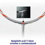 WHIZZ  tollasütő szett, 2 db ütővel, tollaslabdával, tokban