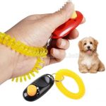 Oktató kutya klikker 