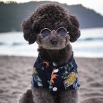 Stílusos kutya, cica napszemüveg