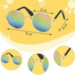 Stílusos kutya, cica napszemüveg