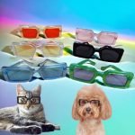 Divatos kutya, cica napszemüveg, szögletes