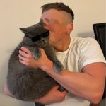 Divatos kutya, cica napszemüveg, szögletes