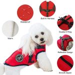 Bélelt, meleg kutyakabát hámmal 