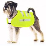 Biztonsági, láthatósági mellény kutyáknak
