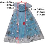 Jégvarázs ruha,  Elza jelmez 