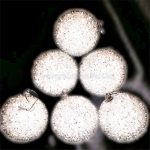 Hófehér csillogó gömb, karácsonyfa dísz 7 cm