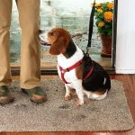 Clean Step Mat mikroszálas csodalábtörlő, szennyfogó szőnyeg