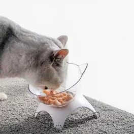 Ergonomikus ortopéd macskatál
