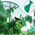 Madár háló, növényvédő háló madarak ellen