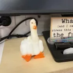 Duck you squishy kacsa