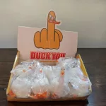 Duck you squishy kacsa