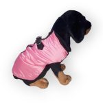 Vékonyan bélelt kutyakabát hámmal