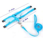 Macska hám, kutyahám  pórázzal, angyalszárnyakkal 