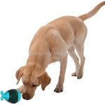 Jutalomfalat adagoló kelfeljencsi, táp adagoló, intelligencia fejlesztő 