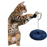 Rugós macskajáték