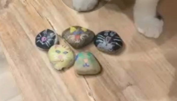 24db-os Akril filc készlet, kőre, textilre, fára, üvegre
